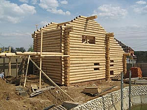 Выбор древесины для строения рубленых домов, бань
