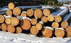 Влажности древесины свидетельствуют о том, что наибольшая влажность в дереве наблюдается именно зимой