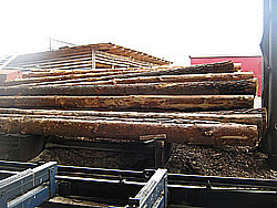 Заготовительная древесина